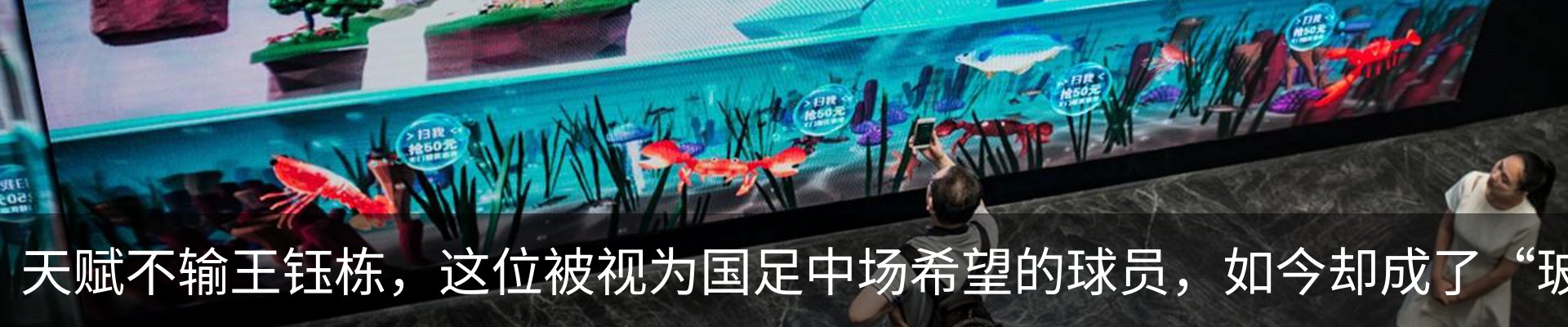 资讯动态