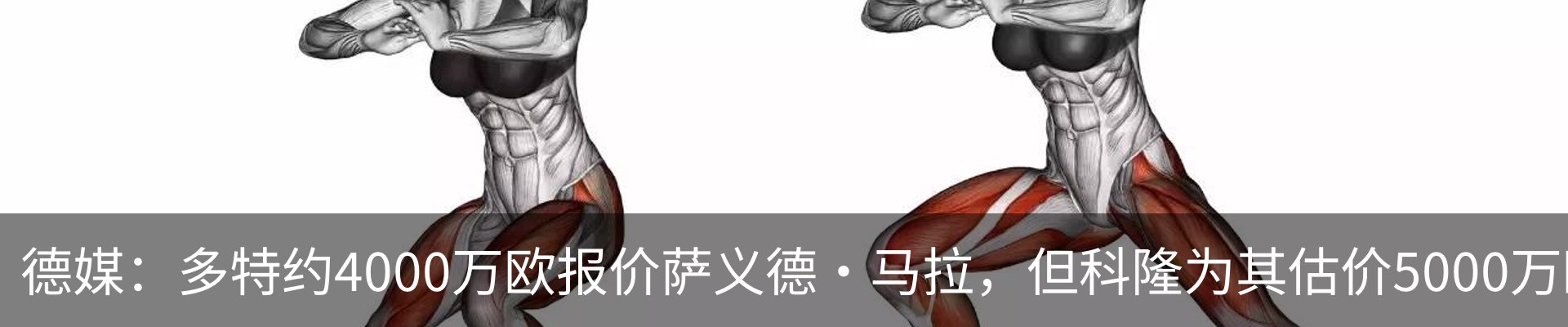 资讯动态