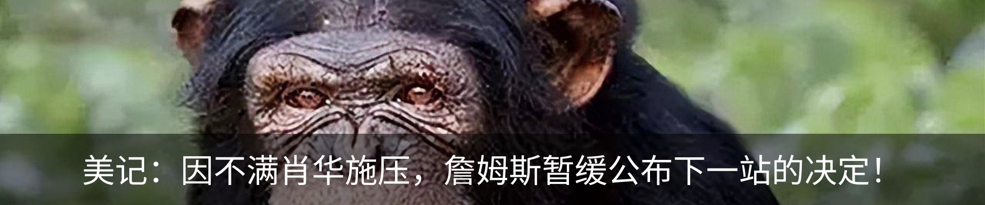 资讯动态
