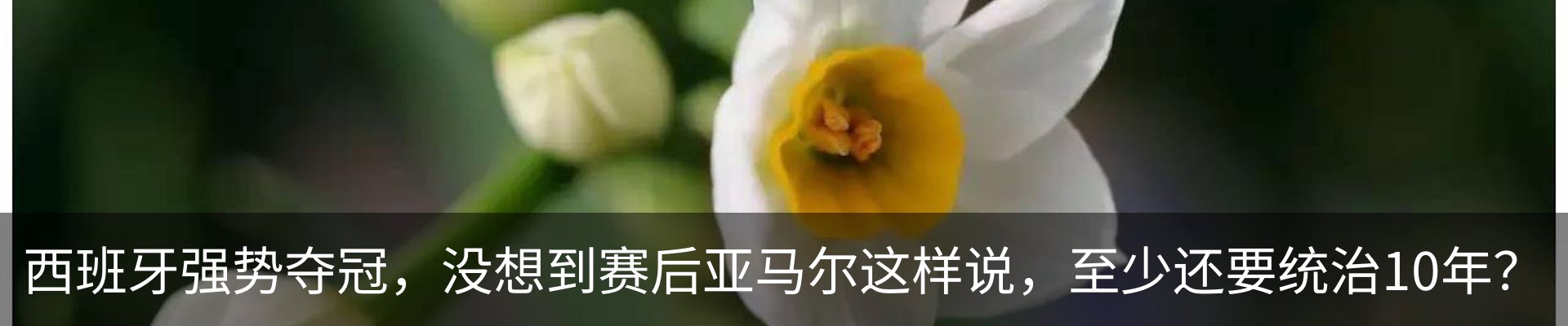 资讯动态
