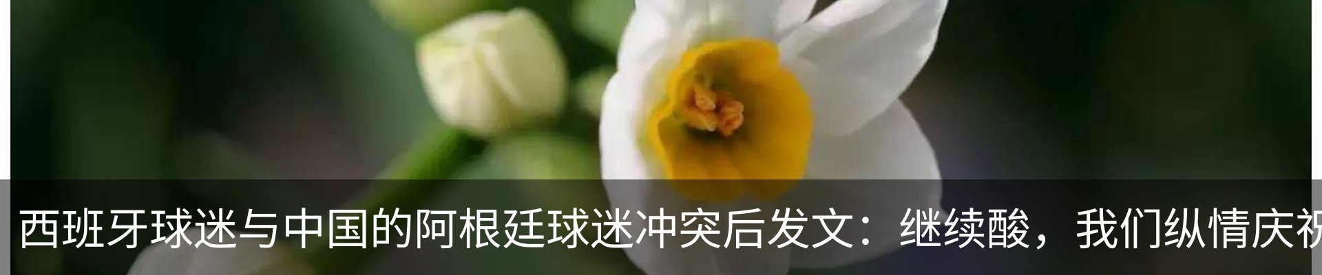 资讯动态