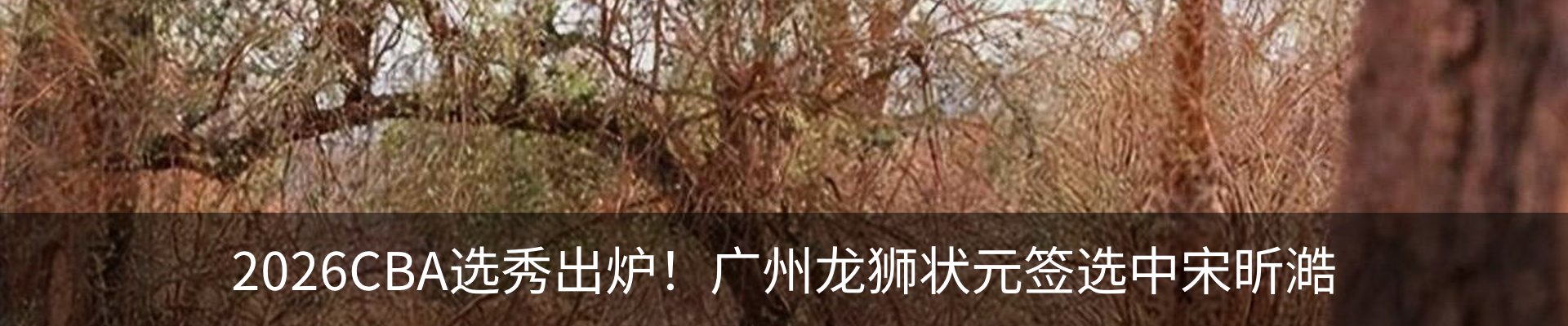 资讯动态